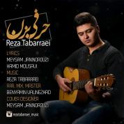 Reza Tabarraei – Harfi Bezan Reza Tabarraei – Harfi Bezan