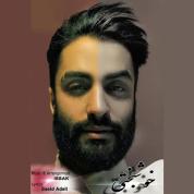 Saeed Adeli – Khoshbakhti