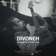Saeed Aliporiyan – Divoneh