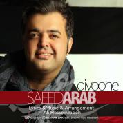 Saeed Arab – Divooneh