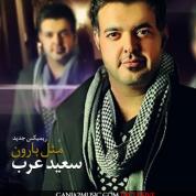 Saeed Arab – Mesle Baroon (Remix)