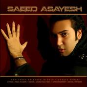 Saeed Asayesh – Lahzeye Akhar