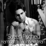 Saeed Faghedi – Hamdam Tanhaeie Man