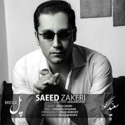 Saeed Zakeri – Pol Saeed Zakeri – Pol