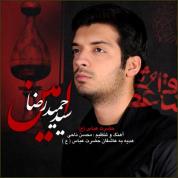 Seyed Hamidreza Amin – Hazrate Abbas