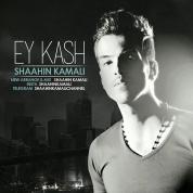 Shaahin Kamali – Ey Kash