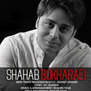 Shahab Bokharaei – Doset Daram