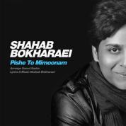 Shahab Bokharaei – Pishe To Mimoonam