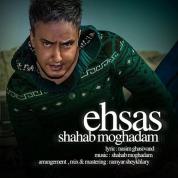Shahab Moghadam – Ehsas