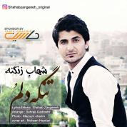 Shahab Zangeneh – Tange Delom