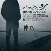 Shahin Daneshjoo – Boro