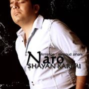 Shayan Karimi – Naro
