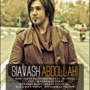 Siavash Abdollahi – Bi Hessi