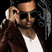 Siavash Yousefi – Faramooshi