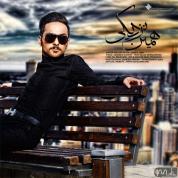 Soheil Jami – Hamin Nazdiki