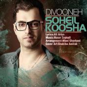 Soheil Koosha – Divooneh