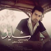 Vahid Dendi – Shayad (Ft Shahab Nateghi)