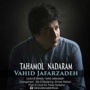 Vahid Jafarzadeh – Tahamol Nadaram