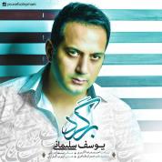 Yousef Soleymani – Bargard