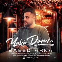 Saeed Arka