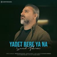 Saeed Tehrani