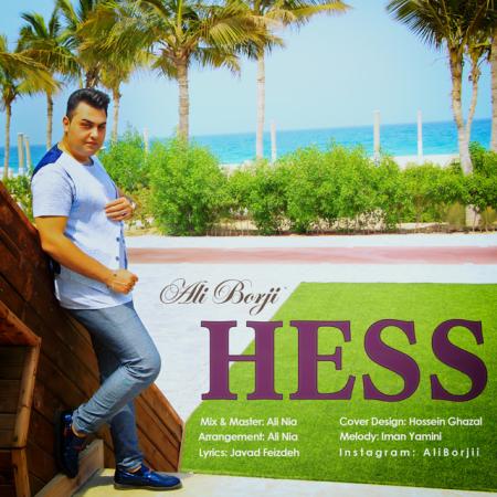 Ali Borji – Hess