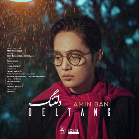 Amin Bani – Deltang Amin Bani – Deltang