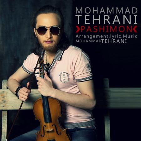 Mohammad Tehrani – Pashimon