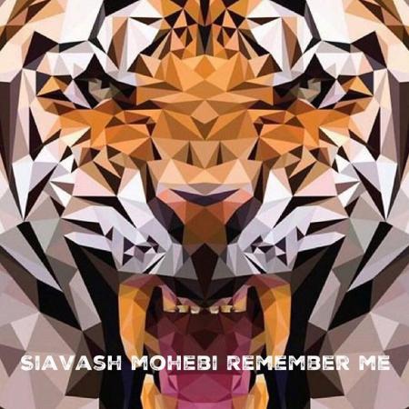 Siavash Mohebi – Remember Me
