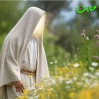 Bahram Omrani – Enayat