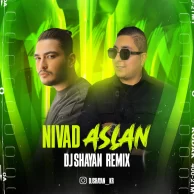 DJ Shayan KR – Aslan (Remix)