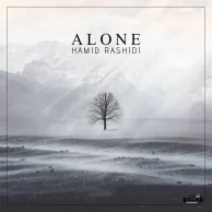 Hamid Rashidi – Plug in Deep 04 (Alone)