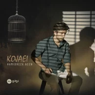 Hamidreza Aeen – Kojaei