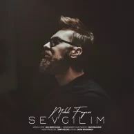 Mehdi Fayezi – Sevgilim
