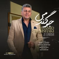 Hamid Shemshaki