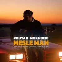 Pouyan Mokhberi