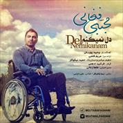 Mojtaba Faghani – Del Nemikanam