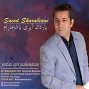 Saeed Sharabiani – Yardan Ayri Yashamaram
