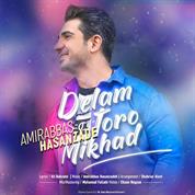 Amirabbas Hasanzadeh – Delam Toro Mikhad