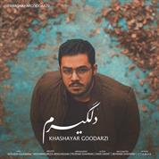 Khashayar Goodarzi – Delgiram