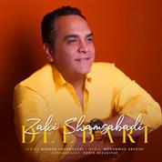 Zaki Shams Abadi – Delbari