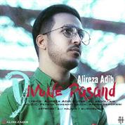 Alireza Adib – Divune Pasand