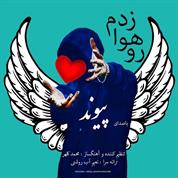 Peyvand – Roo Hava Zadam