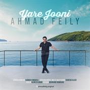 Ahmad Feily – Yare Jooni