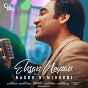 Ehsan Neyzan – Nagoo Nemidooni