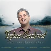 Mojtaba Delzendeh – Toofane Cheshmat