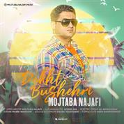 Mojtaba Najafi – Dokhte Bushehri