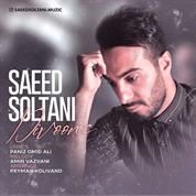 Saeed Soltani – Divoone