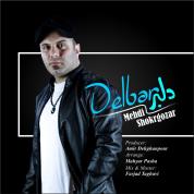 Mehdi Shokrgozar – Delbar