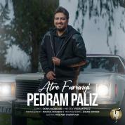 Pedram Paliz – Atre Farangi